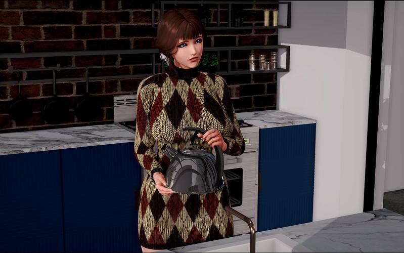 康乃馨俱乐部汉化版下载：深度解读与用户体验分析