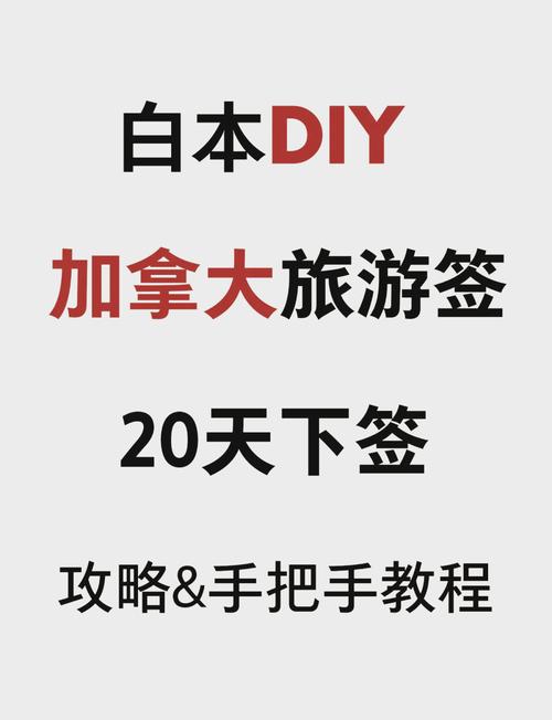 室友1.3官网使用教程：轻松上手的实用指南