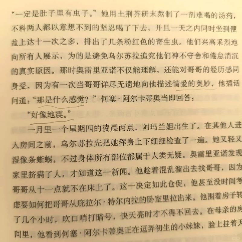 深入解析《欲望开花》的游戏攻略与战略