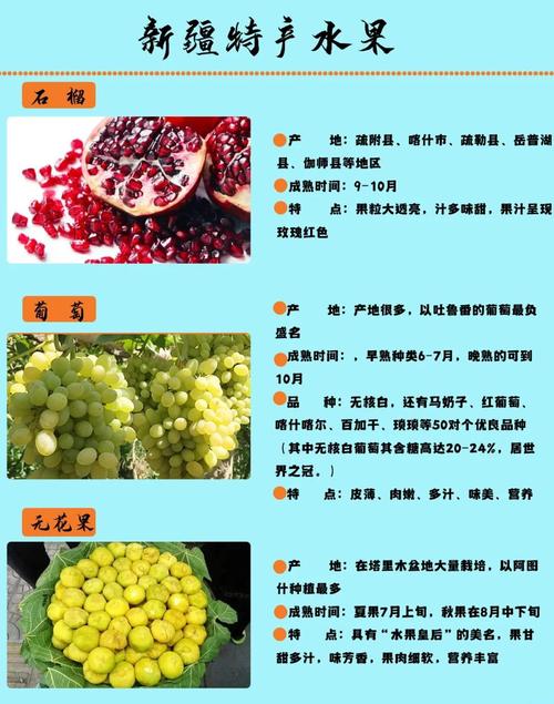 如何获取“葡萄成熟时”的下载地址：详细教程