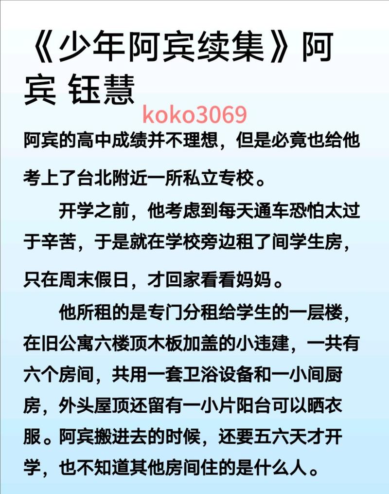 少年阿宾小说游戏下载实用教程