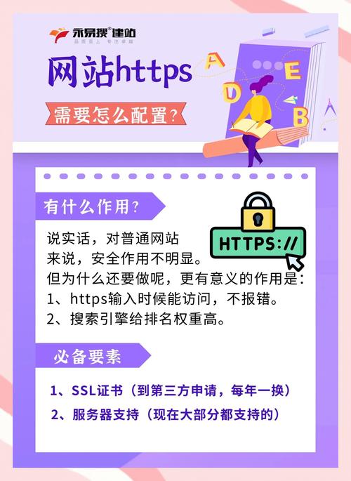 如何有效使用社会官网：新手实用教程