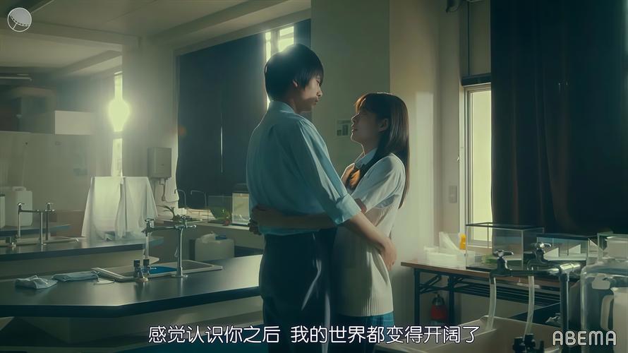 欲望理论第三季安卓下载完整指南