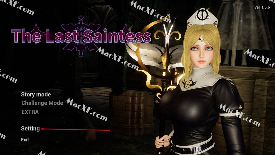 最后的圣女游戏介绍与实用教程