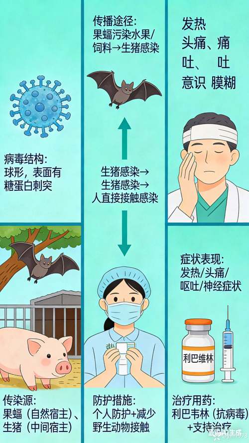 病毒危机Z最新教程：轻松上手的实用指南
