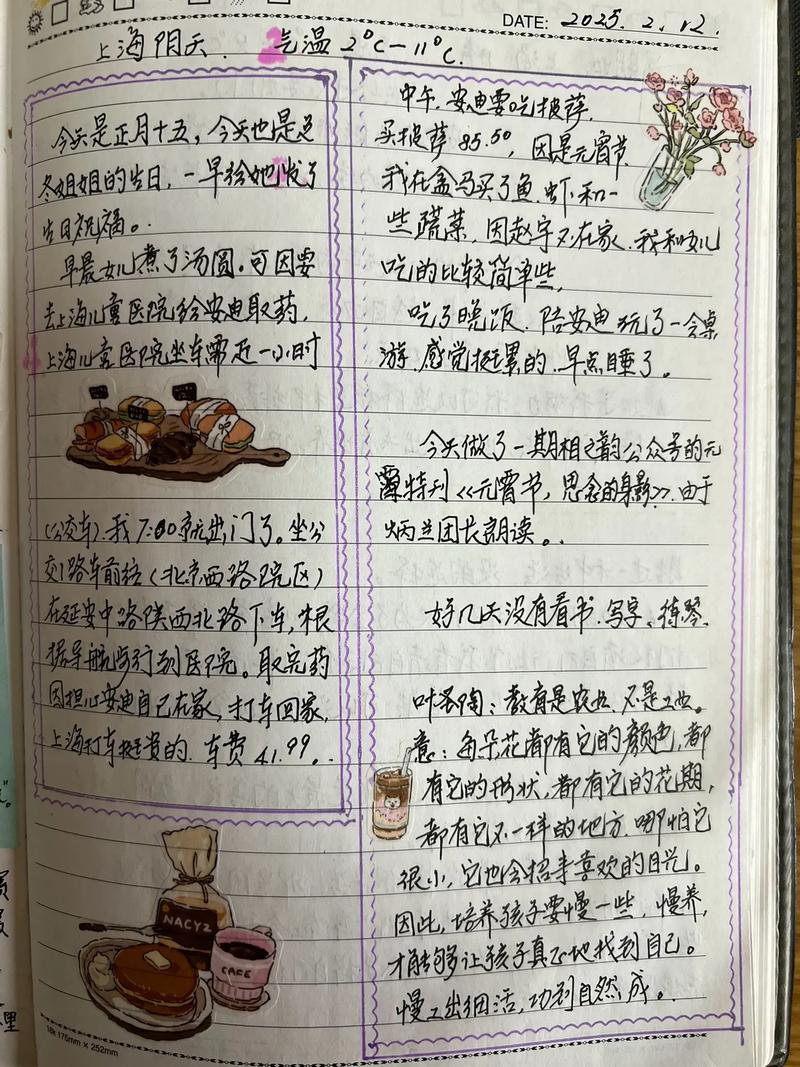 如何高效使用岛主日记官网：新手实用教程