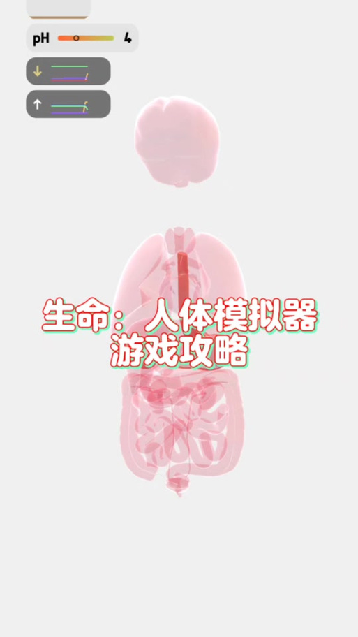 全面解析生命体V0.18b官网：新手必读操作教程