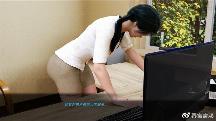 徐娘半老游戏详细教程：新手入门指南