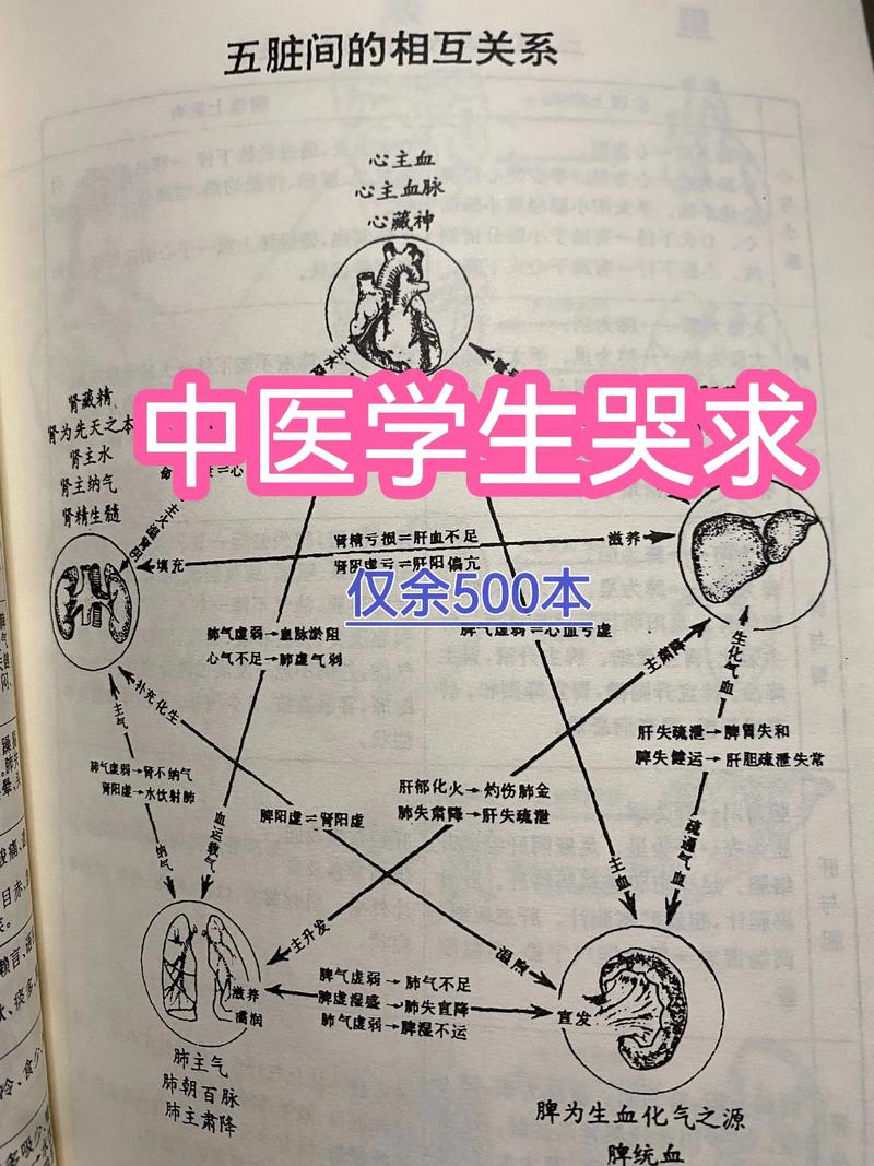如何安装和汉化《神医西门庆》安卓版本：详细教程
