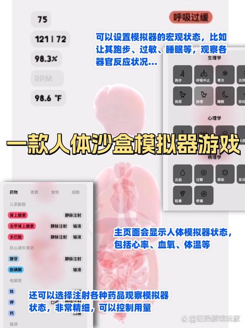 如何安装和汉化《神医西门庆》安卓版本：详细教程