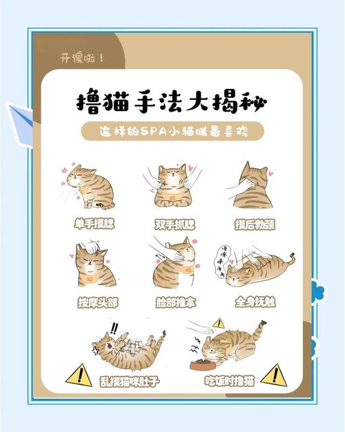 如何在小野猫N官网上顺利进行注册和下载游戏