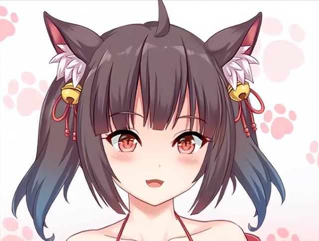 如何在捡到千年猫官方网站上快速入手游戏