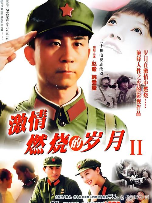 激情燃烧的岁月最新版本操作指南