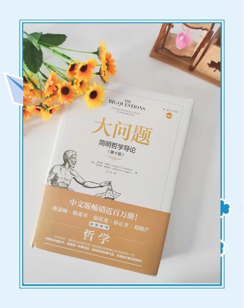 问题大学版本大全：新手友好的操作指南