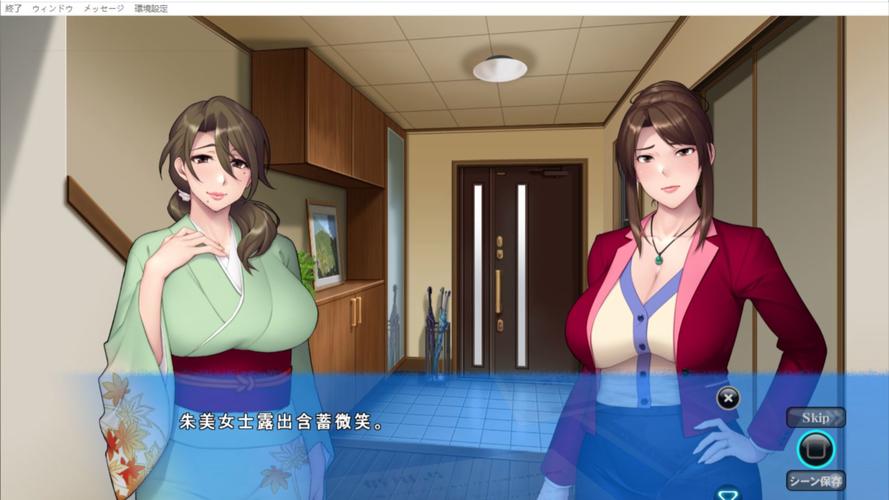 妻子与母亲最新版本游戏实用教程