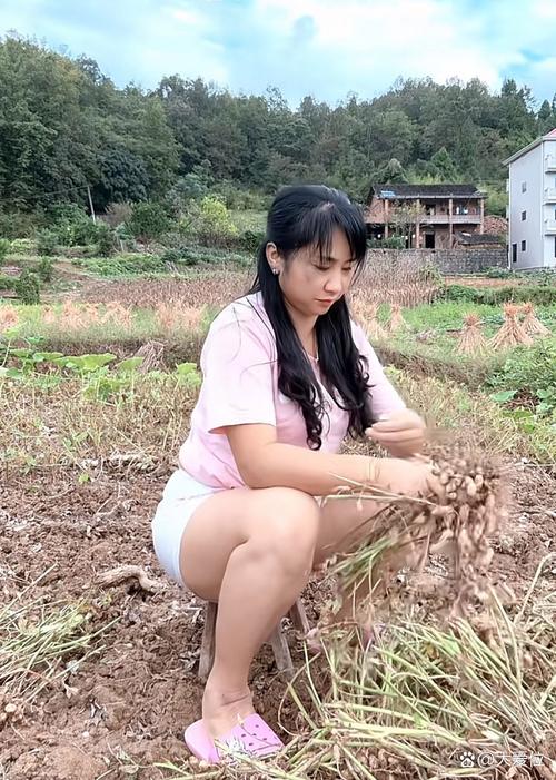 索尼娅的乡村生活最新版本操作教程