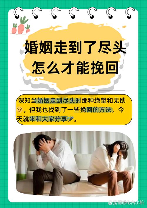 如何重温《妻子的困境》官网：详细教程与实用技巧