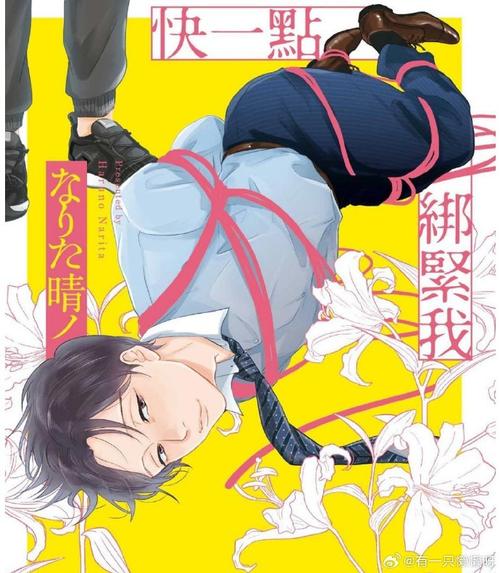 西诱记绅士游戏实用教程：从入门到精通的详细指南