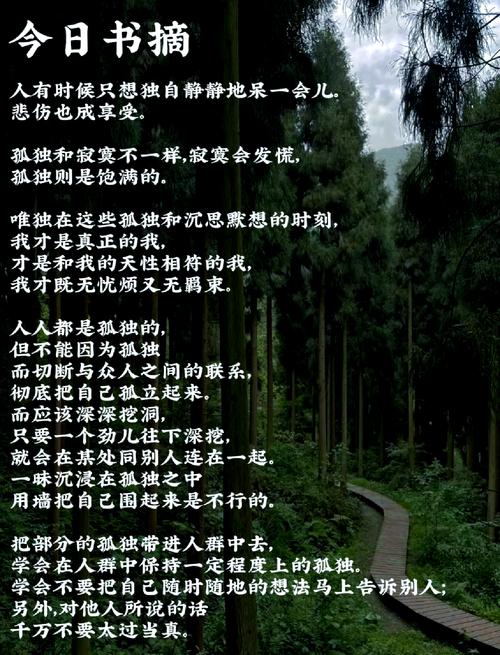 掌握《孤独的陌生人》:新手玩家实用教程