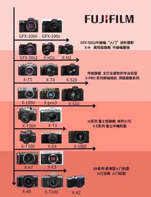 如何选择合适的代理机构：最新指南