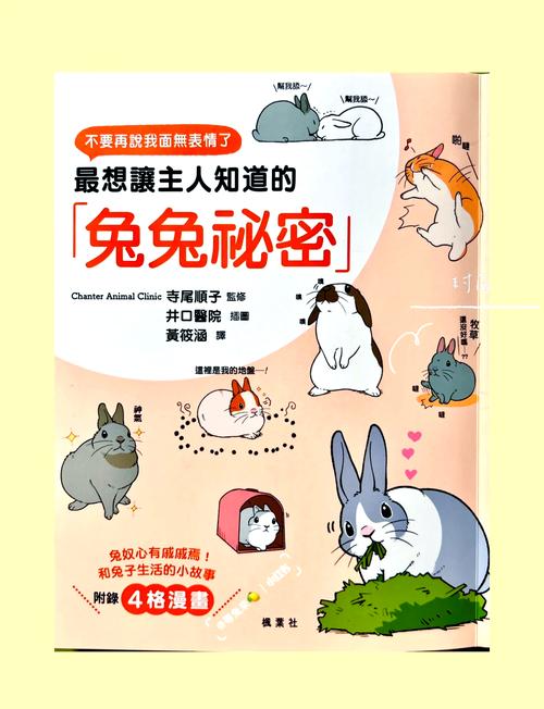 兔兔秘密花园安卓教程：如何轻松上手与攻略