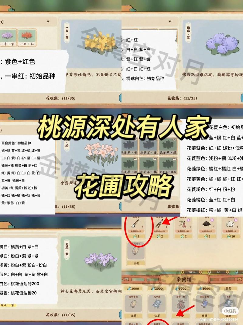 桃花境最新版本获取与更新教程