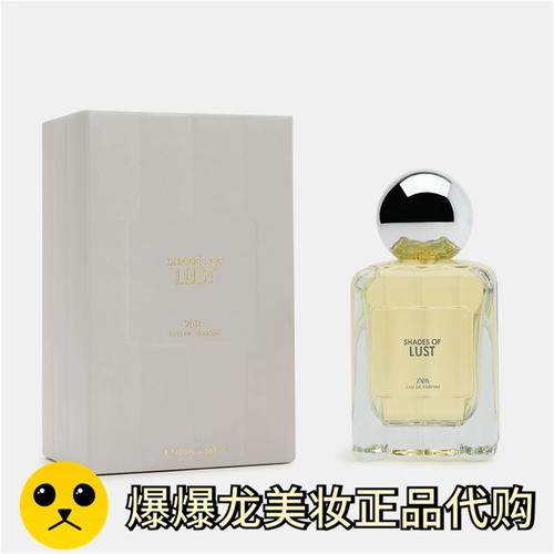 欲望之影官网使用教程：新手必备指南