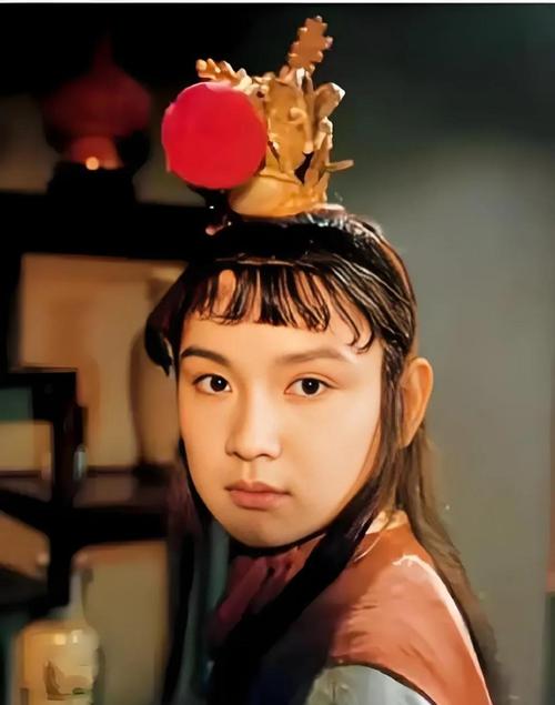 如何成为怡红院的主人:安卓用户详细操作指南