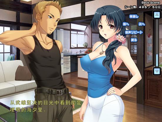 深度解析《妻中密》：绅士游戏市场中的独特视角