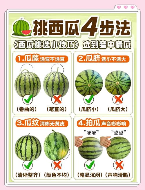 如何获取“夏日的甜蜜回忆”最新更新地址的详细教程