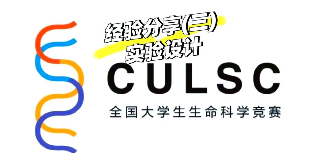 生命竞赛下载教程：新手必看的详细步骤