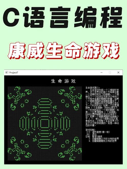 生命竞赛下载教程：新手必看的详细步骤