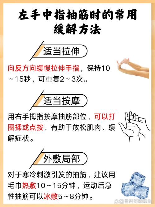 如何使用加藤的新生活官网：详细实用教程