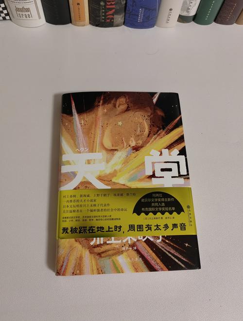 深入探索《悲伤的天堂》游戏：实用指南与技巧