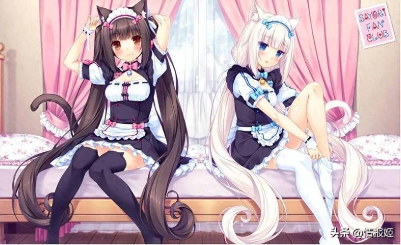 如何有效使用猫娘官方网站：新手指南