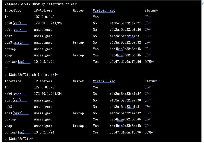 如何访问和使用无双大蛇3福利版官方网站的详细教程