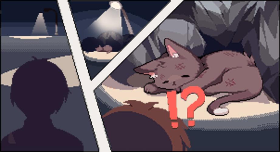 捡到千年猫下载安卓的实用教程