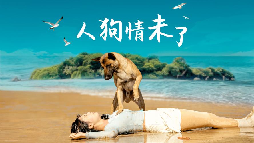 人狗情未了下载地址获取详细教程