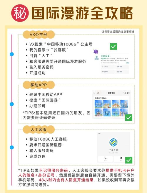 如何顺利访问和使用“妻子与母亲官方网站”