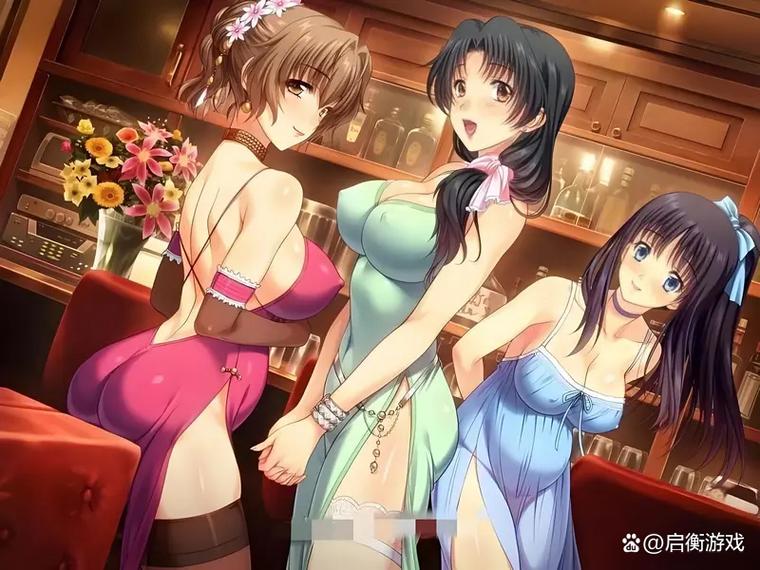 妻中密汉化版下载详细教程