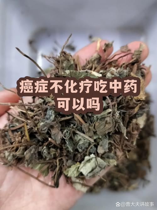 深入探讨：如何下载《鬼谷八荒》的最佳路径