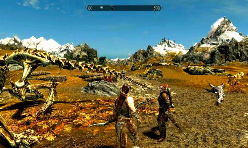 探索上古卷轴5版本大全：深度分析与实用建议