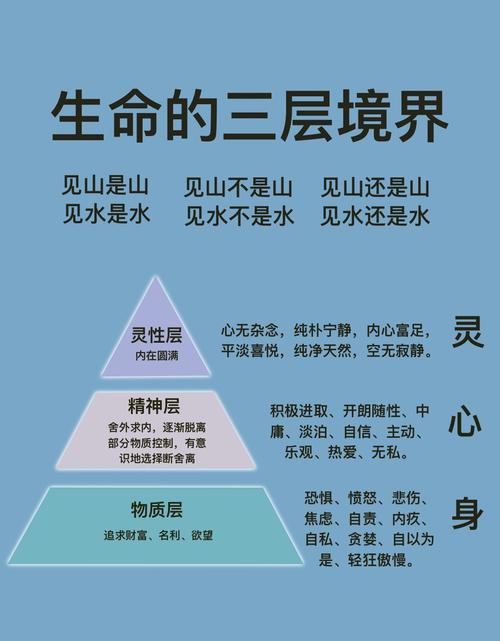 深度解析《生命体v0.17d最新》：探索其独特魅力与技术革新