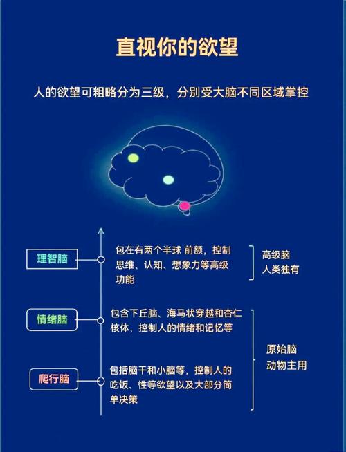 深度分析：欲望理论第三季游戏下载的魅力与挑战