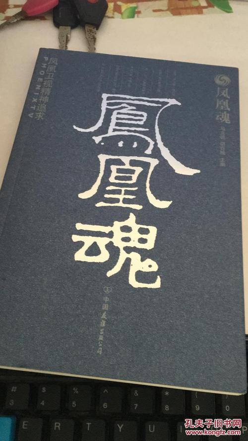 深入探讨：凤凰如何下载及其在游戏领域的应用