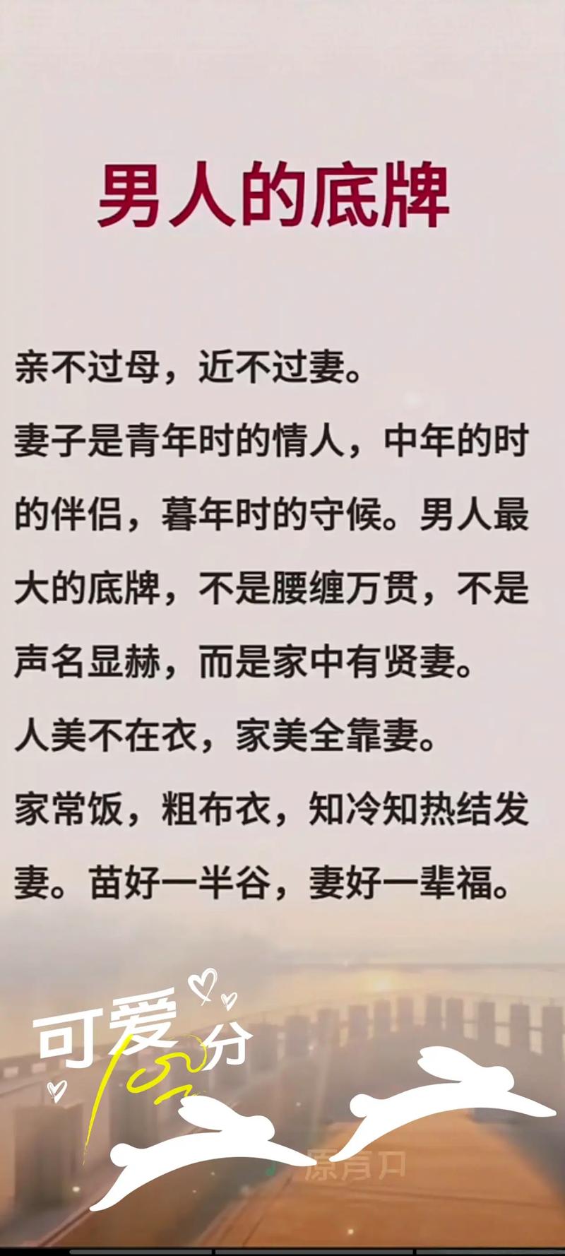 深度解析：孝顺的妻子下载安卓的市场趋势与玩家体验