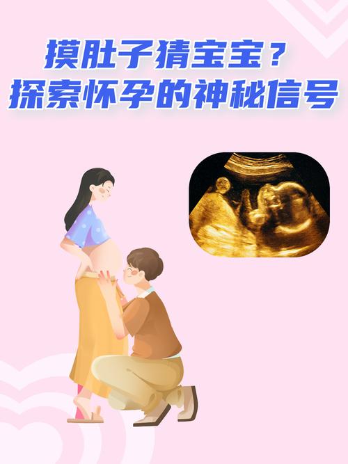 探索怀孕无双:下载地址背后的游戏文化与市场分析