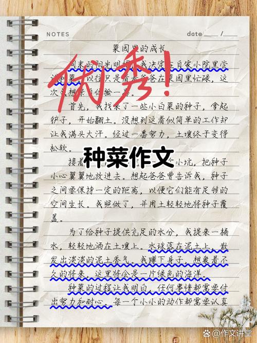 深入解析《我的播种农场最新版本》：游戏机制与用户体验的全面提升