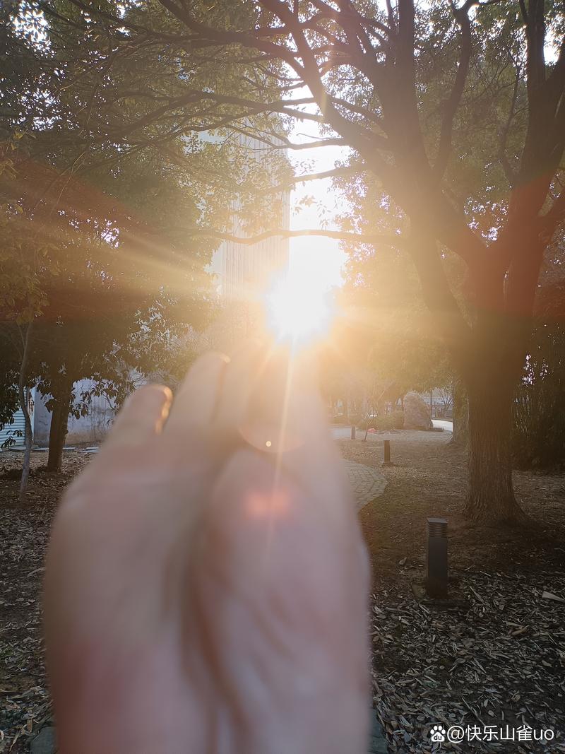 阳光下的真实最新版本：绅士游戏新纪元的深度解析