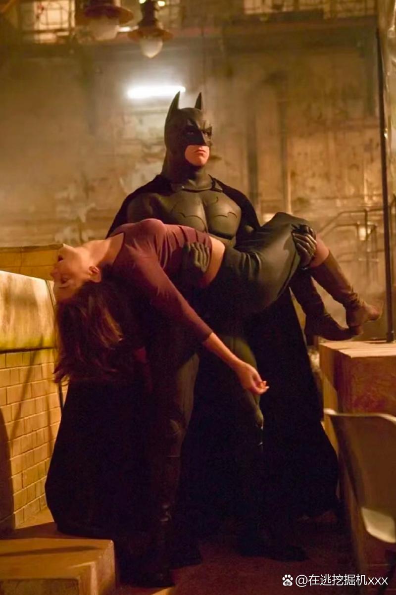 探索“圣骑士大人与魅魔从者”的独特魅力与游戏机制